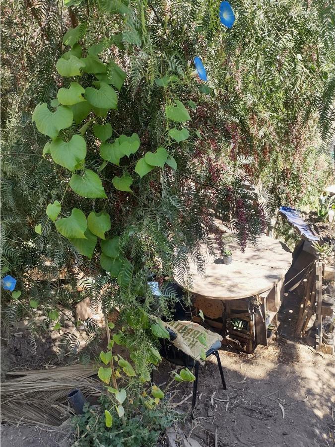 Nuevovalpo Hillside Homestay 圣地亚哥 外观 照片