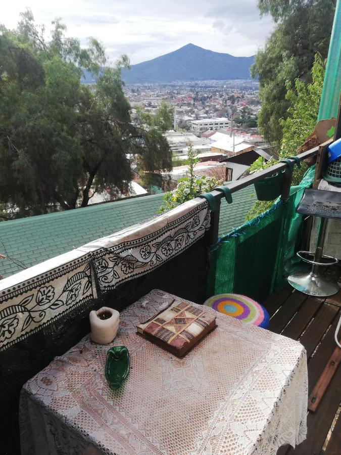 Nuevovalpo Hillside Homestay 圣地亚哥 外观 照片